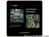 Free Picture Download