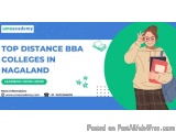 Top Distance BBA Colleges in Nagaland