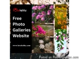 Free Photo Galleries Website