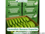 Golden Taste, Global Trust â€“ Premier Cavendish Banana Exporter