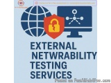 External network vulnerability testing services