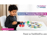 Sensory Processing Disorder In Children