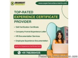 Professional Experience Letter in Lucknow