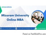 Mizoram University online MBA