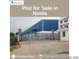 Plot For Sale In Noida | Residential & Industrial Land Available
