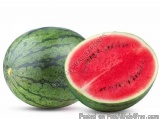 Fresh Watermelon Suppliers