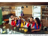 The image shows a group of four young people sitting at a bar counter, toasting with beer glasses in their hands. They are al...