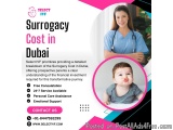 Surrogacy Cost in Dubai