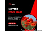 Shutter Stock Image Download