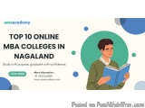 Top 10 Online MBA Colleges in Nagaland