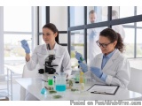 The image shows two young women in a laboratory setting. They are both wearing white lab coats and blue gloves, and are sitti...