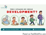 What Are The 5 Stages And Milestone Of Child Development?