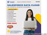 Best Salesforce Data Cloud Online Training | Online Course