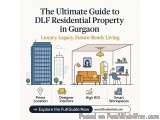 DLF Luxury Apartments in Gurgaon â€“ Live Opulence