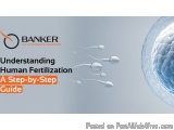 The image is a cover page of a book titled "Understanding Human Fertilization: A Step-by-Step Guide". The background is a lig...