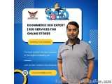 Ecommerce Seo Expert