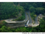 The image shows a winding road in the middle of a lush green forest. The road is made of concrete and has multiple lanes, wit...