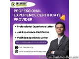 Verified Experience Certificate Provider In Delhi