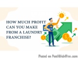 Best Laundry Franchise in India | Low Investment, High Profit â€“ Washmart