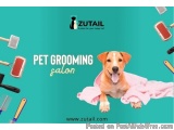 Best Pet Grooming at Home in Tamil Nadu , Pet spa at home