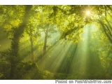Positive, Healing, Soothing Encouragement!
