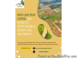 Farm Land near Chennai That Offers the Perfect Blend of Serenity and Profitability