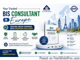 Bis Consultant In Europe