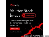 Shutter Stock Image Download