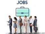 The image shows a group of people standing in front of a large green briefcase with the word "Jobs" written above it. The peo...