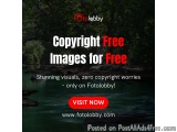 Copyright Free Images for Free