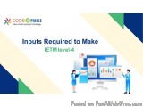 Inputs That Are Required To Make Ietm Level-4