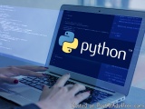 Hire Python Developers