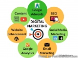 Digital Marketing Agency in Delhi/NCR