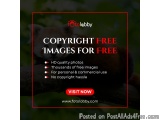 Copyright Free Images for Free