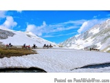 Planning A Perfect Mountain Vacation? Start Here
