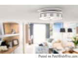 Termite Exterminating Near Me