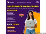 Salesforce Data Cloud Training | Online Course