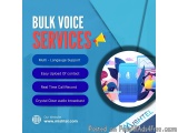 Bulk Voice Services Provider in Delhi NCR for Mass Voice Campaigns