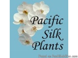 The image is a graphic design with a light blue background. In the center, there is a cluster of white orchid flowers with ye...