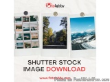Shutter Stock Image Download