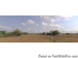 PLOTS SALE AT PERUMALPATTU NEAR SRI RAM ENGINEERING COLLEGE