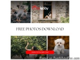 Free Photos Download