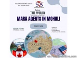 What Are the Benefits of Working With MARA Agents in Mohali?