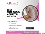 Best surrogacy agency in Georgia