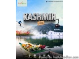 Best Kashmir Tour Packages | Felix Feria Travels