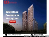 Whiteland Projects in Gurugram â€“ Prime Real Estate Options