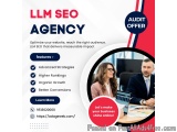 LLM SEO Agency for Advanced Search Strategies