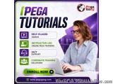 Advanced Pega Tutorials For Certification Preparation