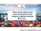 China Import Data By Hs Code 28: Detailed Trade Insights & Market...