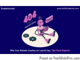 Why Your Website Crashes on Launch Day: Tips from Experts
